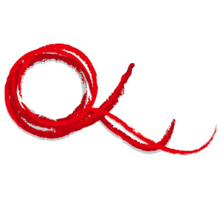 Reezom logo